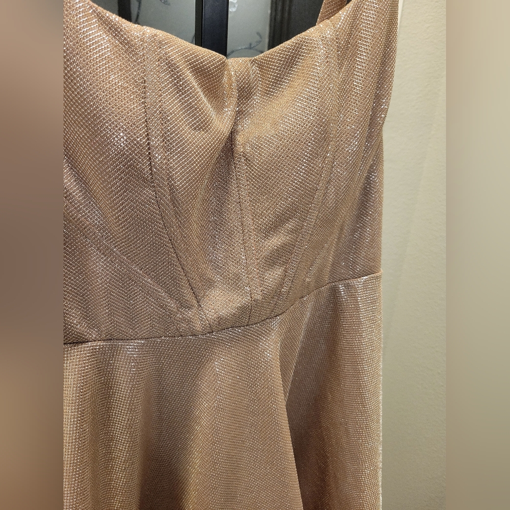 Shimmering Blush Pink Dress - Picture 3 of 3